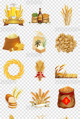 从丰收到餐桌 PNG粮食与乳制品的协同发展之路